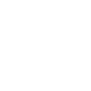 financial stability icon