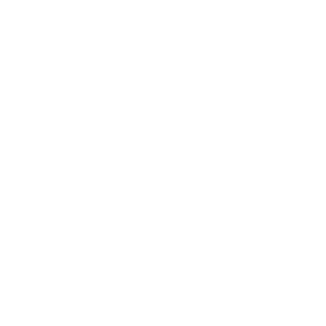 influence icon